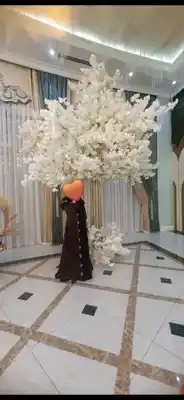 Türkmen fasonlar pombarh fasonlar Fasonlar 2025 fasonlar fason moda modalar Bezen bezen Türkmen fasonlar 2026 Türkmen fasonlar 2025 Türkmen fasonlar 2024 Türkmen fasonlar 2023 turkmenistan türkmenistan turkmen türkmen ashgabat  asgabat aşgabat balkan mary lebap dashoguz dasoguz daşoguz pombarh ponbarhat gulyupek gülýüpek stapel ştapel Gralan Çüýdeşen Abaýa Gadymy Krep Gurultaý 	Keteni Ýüpek Şifon Gipýur Lyon Welwet Atlas Kaşemir Streýç Suzana Ştapel Gülýüpek Pombarh Ýupka Gursakça Aksesuarlar Palto Penjek Okuw eşik Fata Sport eşik Uniforma Nakidka Öýme Şarf kompýuter ýaka ýaglyk Arenda köýnek 2nji el köýnek Taýyn köýnek Matalar Milli lybas milli lybaslar Toý köýnek Toý köýnekler toy koynek toy koynekler gundelik koynekler Gündelik	 
 köýnekler fata koynek Modern taze fason Eskiz koynektm turkmenkoynek türkmenkoynek fason moda moda fasonlar Iş eşik el iş	sada	ýakaly ýakasyz	keşdeli biserli	ýeňli giň nagyşly ýüregi açyk stoýka ýaka ýanly kombinasiýa 	zerli üsti aşak guşakly seçekli gysga ýeňli 